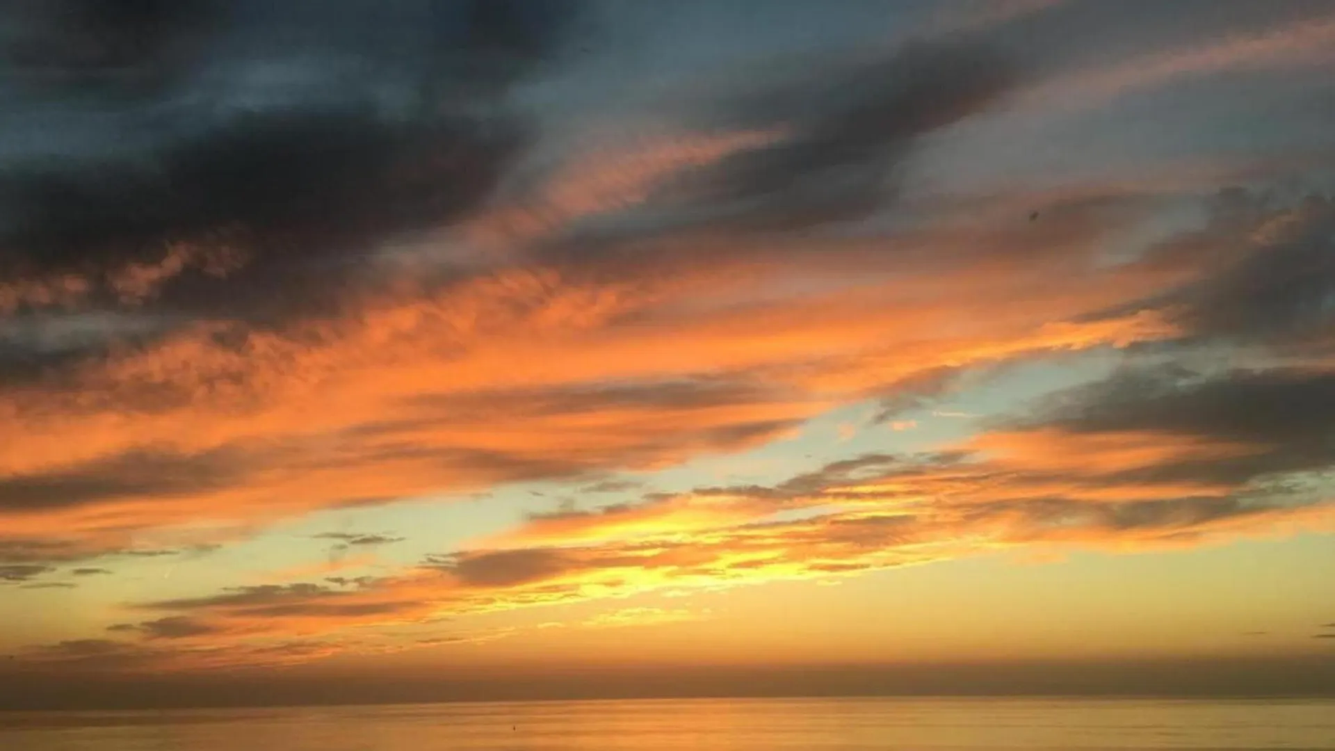 אוסטנדה Beautiful Apartment With Lateral Sea View